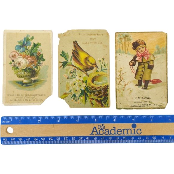 Victorian 3 Trade Cards Floral Bouquet Bird Nest Child With Sled Advertisement - Picture 10 of 10